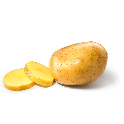 Pomme de terre